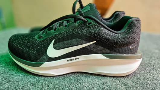Original Nike Winflo 10 (Brand New)