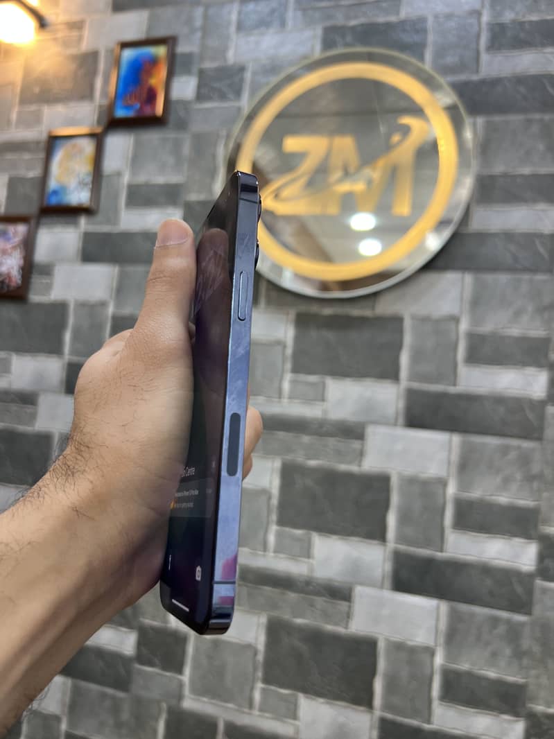Iphone 13 pro max 3