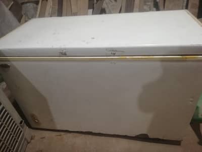 D Freezer used single door