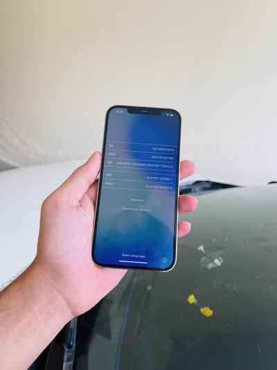 Iphone 12 pro max