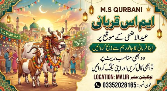 Qasai Available