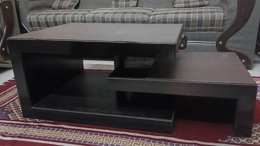 Modern and Aesthetic Center Table