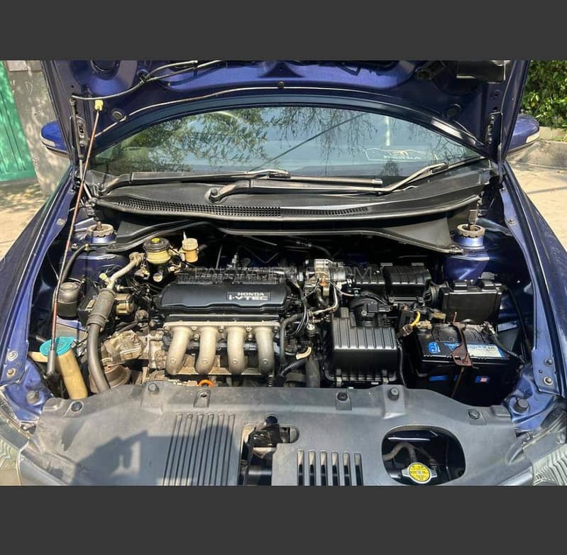 forsell 8