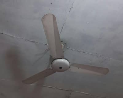 Super Asia Fan