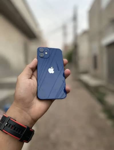 I phone 12 mini