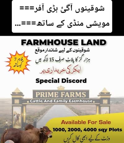 Cattle farm house
