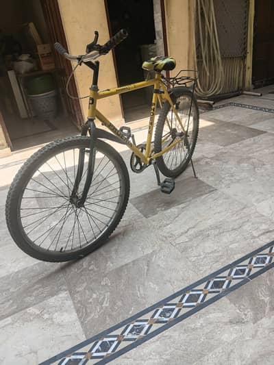 Affordable bicycle