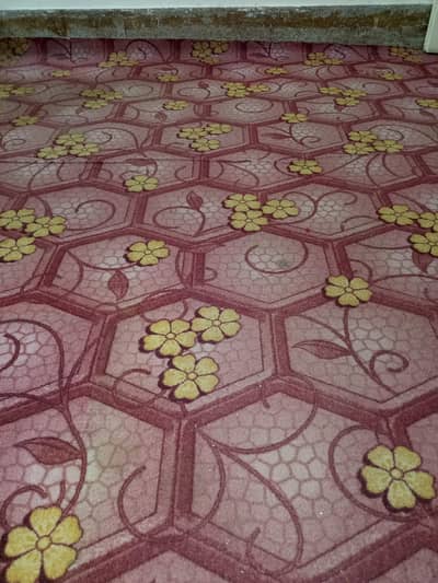 very beautiful neat and clean full size 20 by 20 size