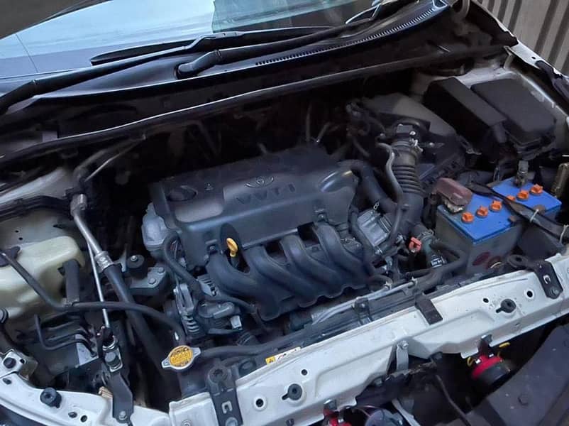 1300 cc 6
