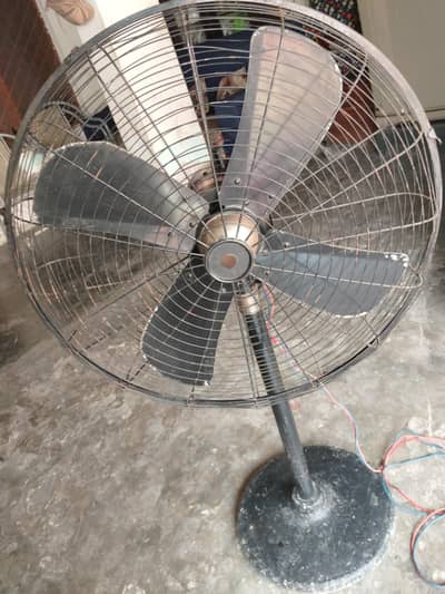Al Haded Fans