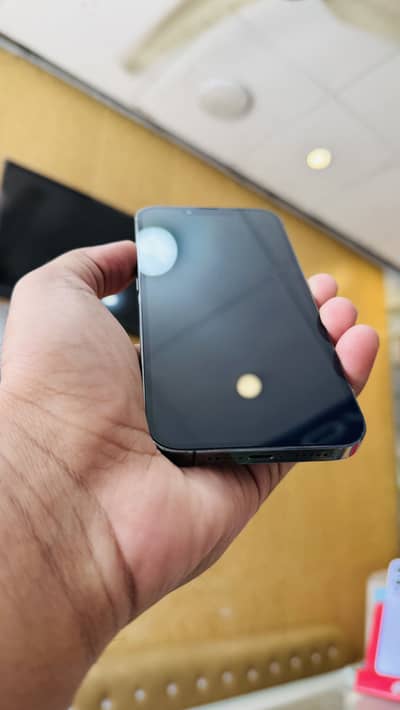 Iphone 13 pro non pta sim working