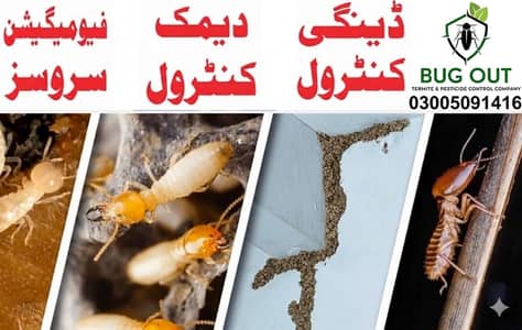 Fumigation, Termite, Pest & Deemak control Services , Dengue Spray
