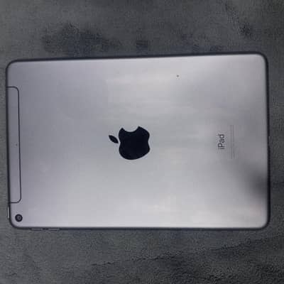 Ipad mini 5