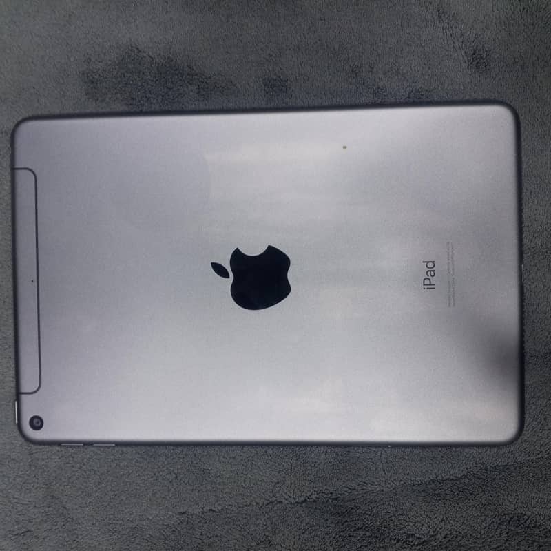 Ipad mini 5 0