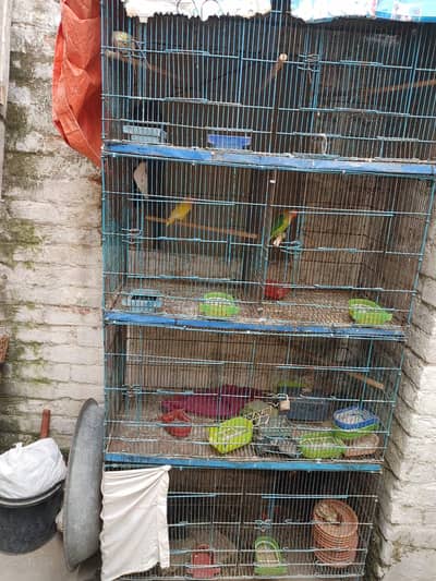 Usad Cage