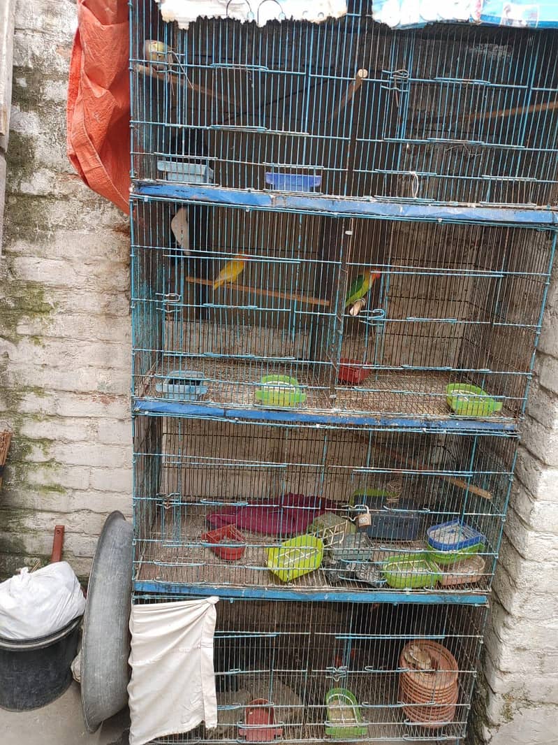 Usad Cage 0