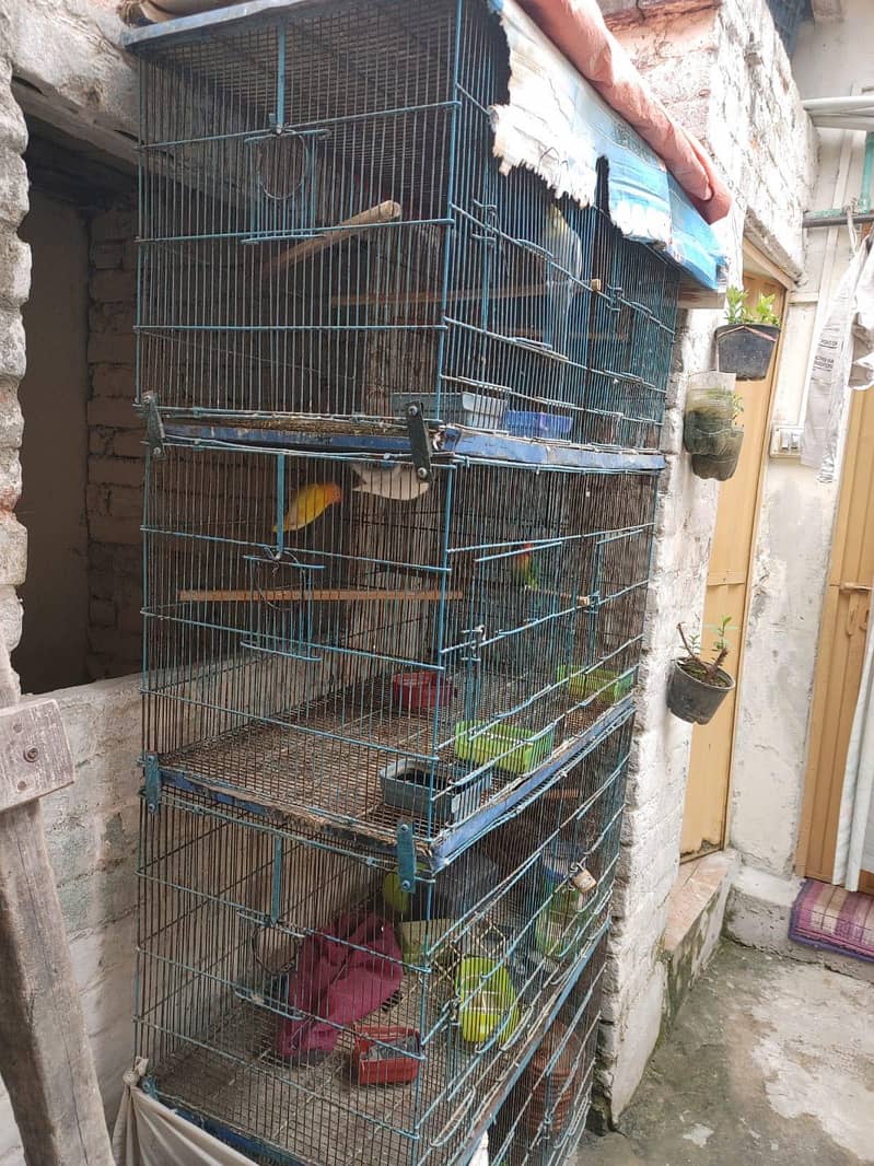 Usad Cage 1