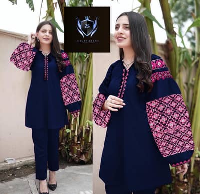Heavy Sleeves Embroidery 2 pcs Suit