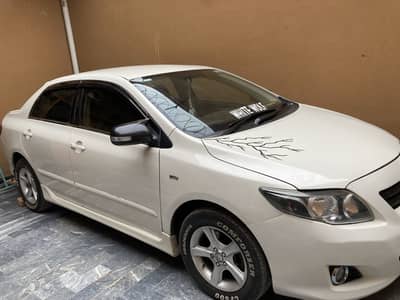 Corolla xli