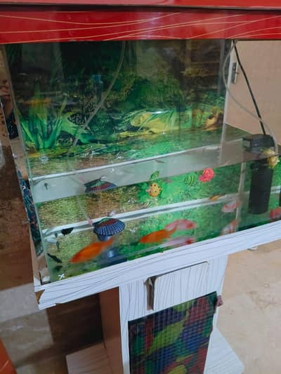 Aquarium