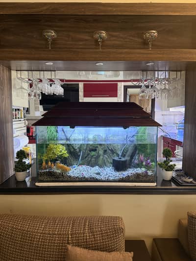 Aquarium with fish