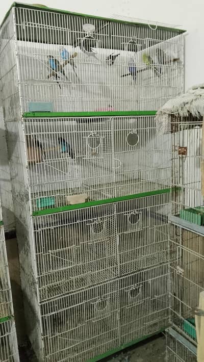 8 portion front box options 5 star cage
