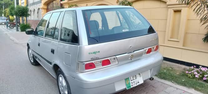 Suzuki cultus