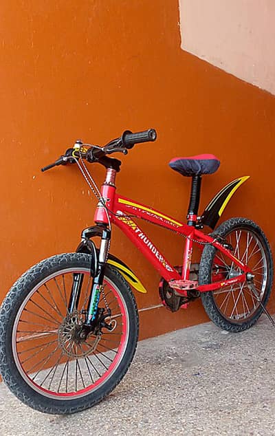 Thunder  MTB imported bicycle size 20