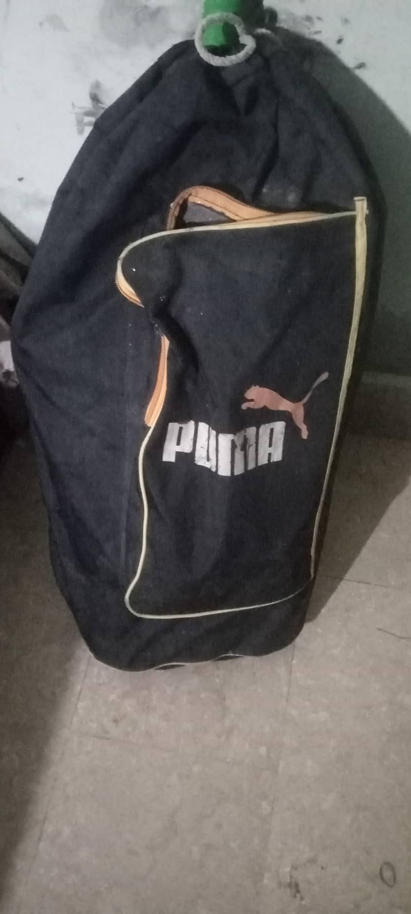 cricket bat 1