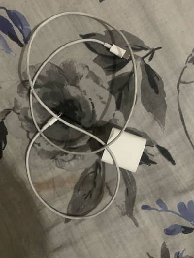 iPhone charger