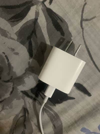 iPhone charger