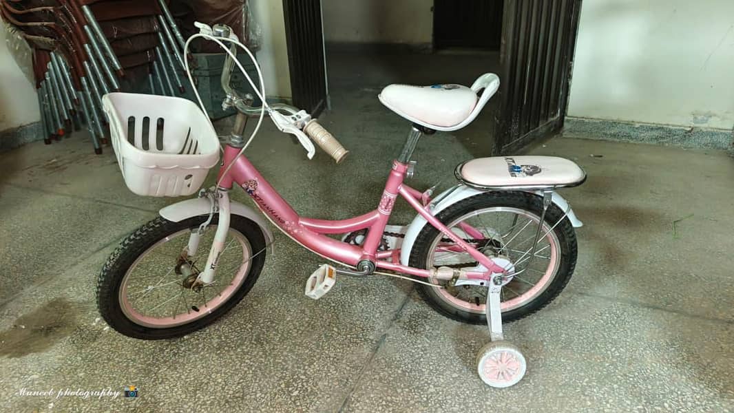 bicycle 1