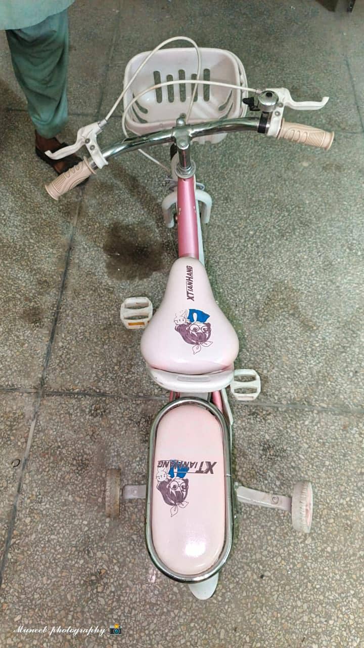 bicycle 2