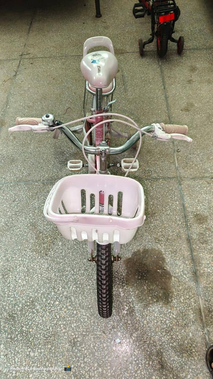 bicycle 6