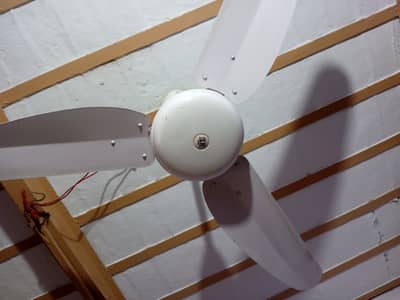 S. A 56" Ceiling fan, model 2023, Use of 2-3 years