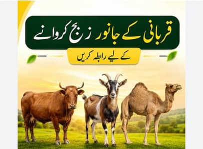 Bakra Zibha krwain. (Apny time k mutabiq) 03218863043