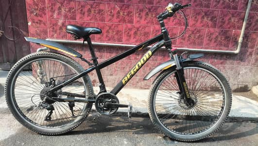 mountain bycycle