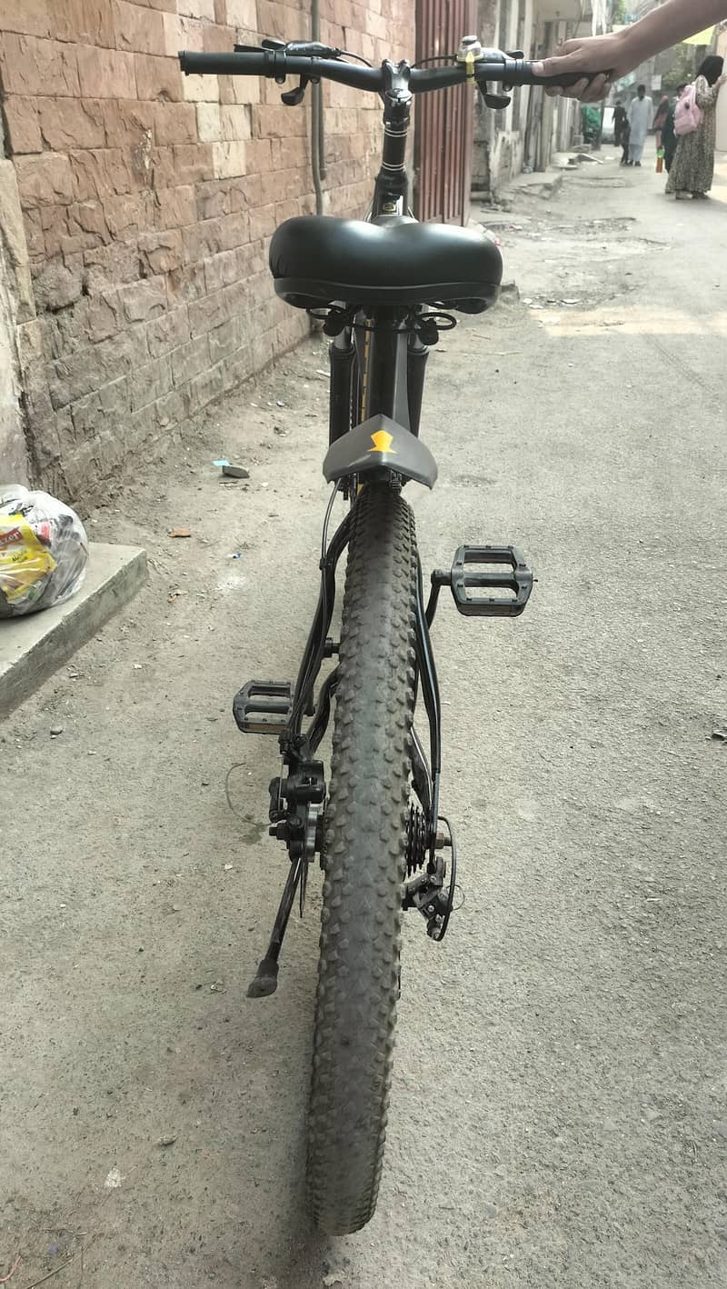 mountain bycycle 2