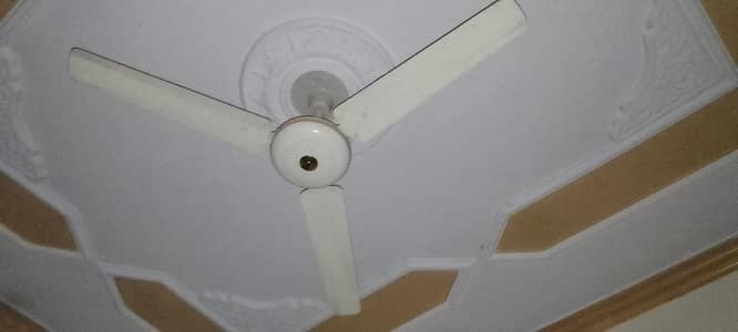 ceiling fan 03345296006