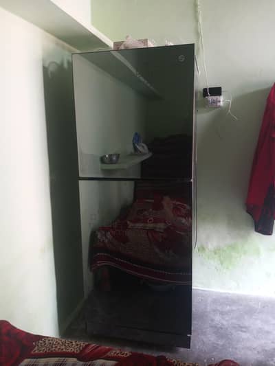 PEL Glass Door Refrigerator Jumbo siz Urjent Forsale Working Conditio