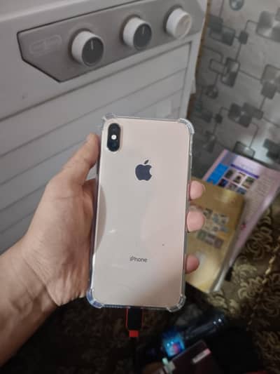 Xs Max Pta 256