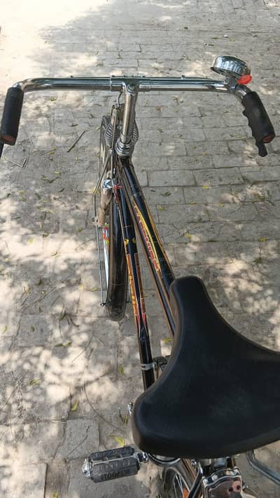 China cycle Mor WhatsApp number 03217398552