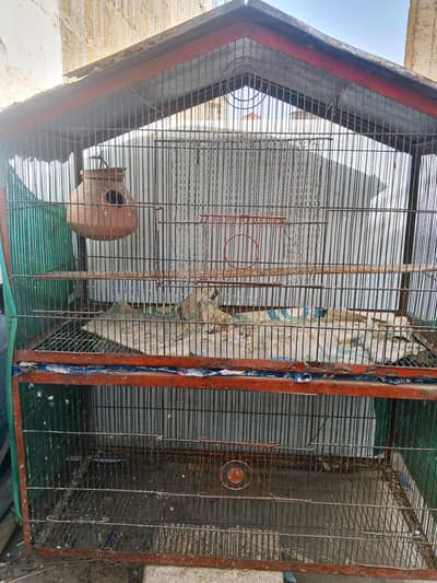 2 part cage ( pinjara)