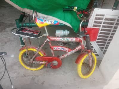 bacho ki cycle