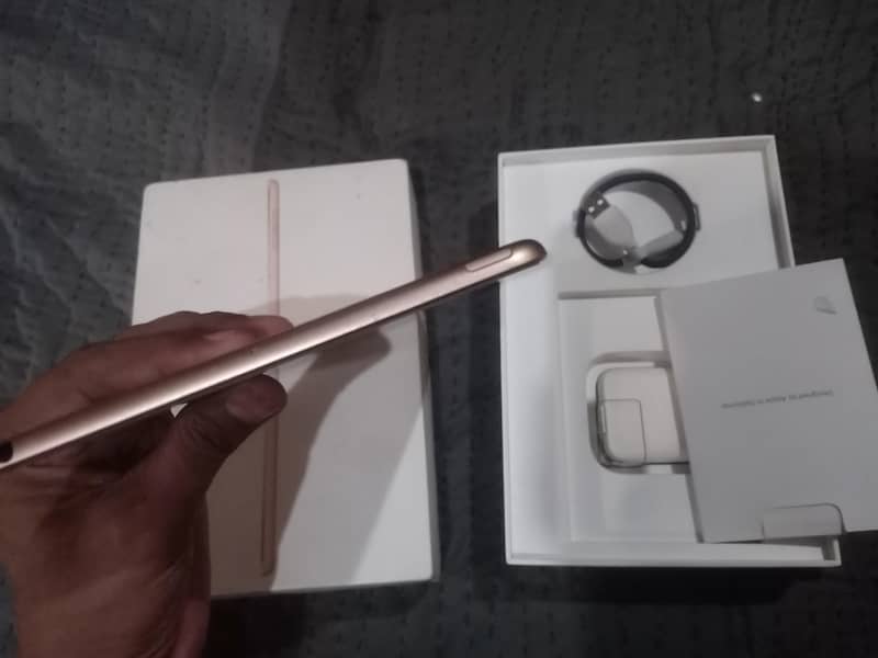 Ipad Mini 5 0