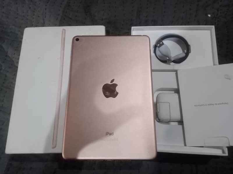 Ipad Mini 5 3