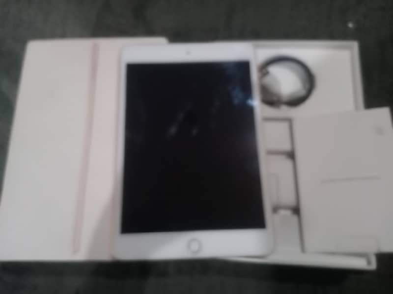 Ipad Mini 5 4