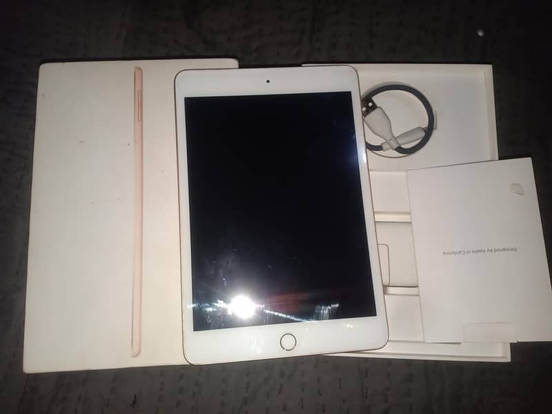 Ipad Mini 5 5