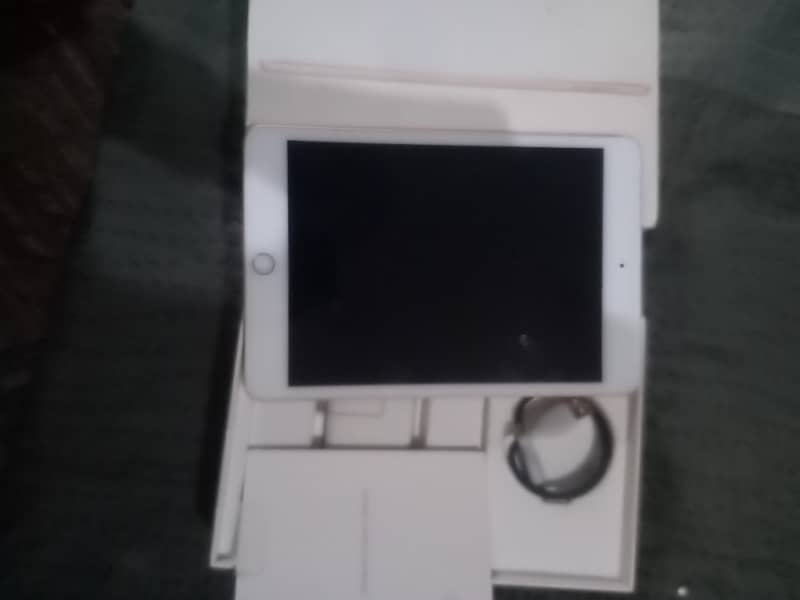 Ipad Mini 5 6