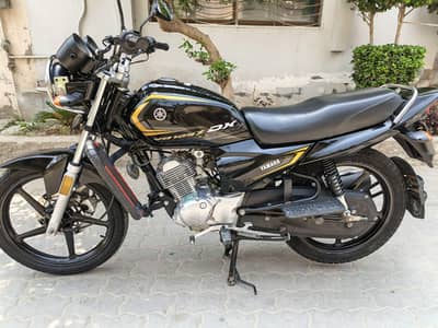 Yamaha YBZ DX 2024